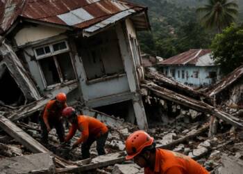 Indonesia Earthquake: Flores Death Toll Rises to 38 as Rescuers Dig Through Rubble
